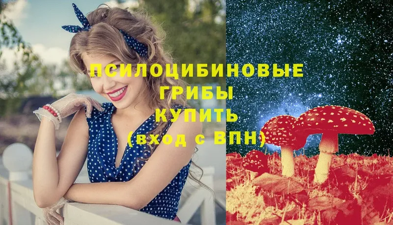 omg ТОР  дарнет шоп  Бирюсинск  Галлюциногенные грибы Cubensis 